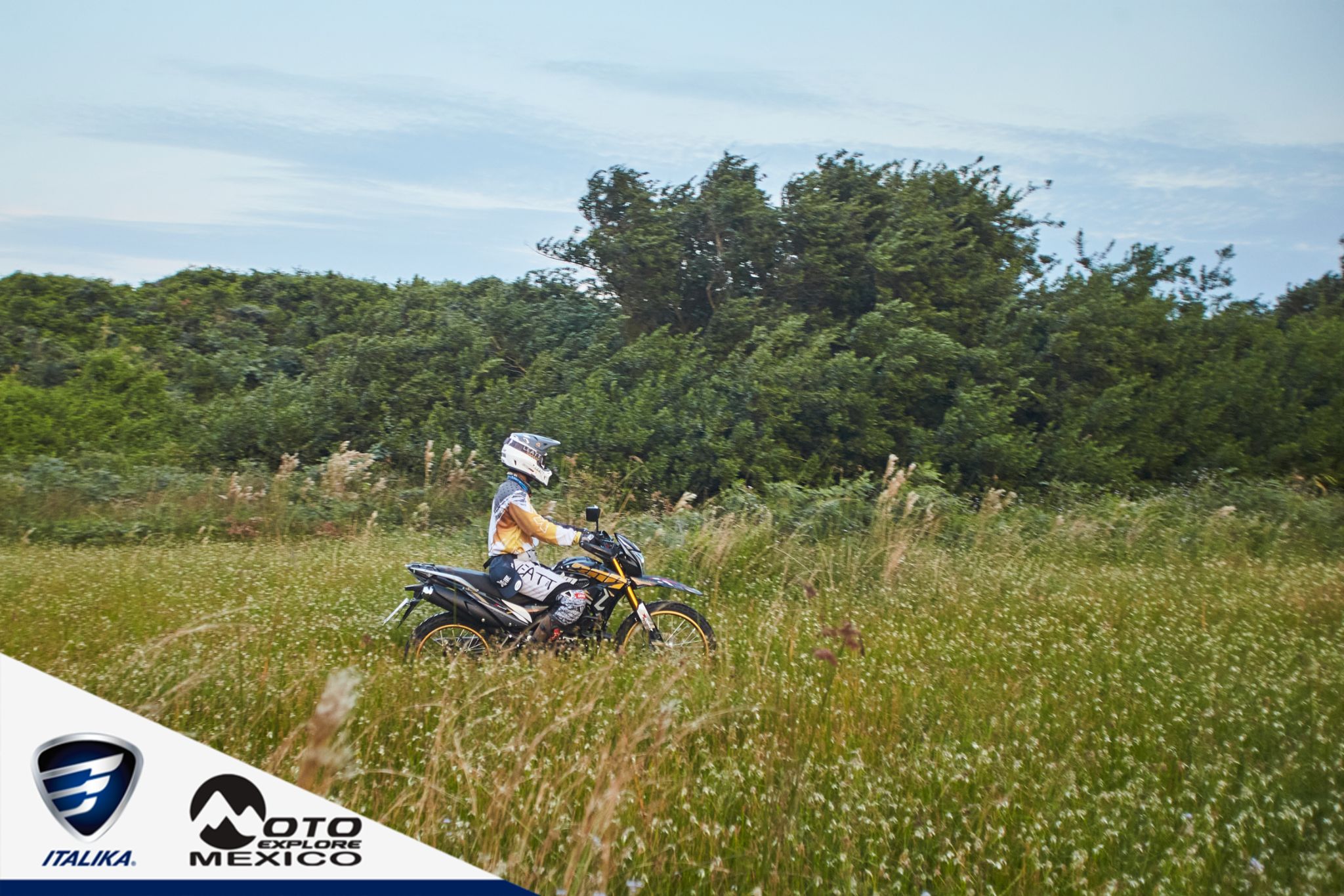 ITALIKA CHACHALACAS D1 403